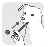 Picture of how to dose dog