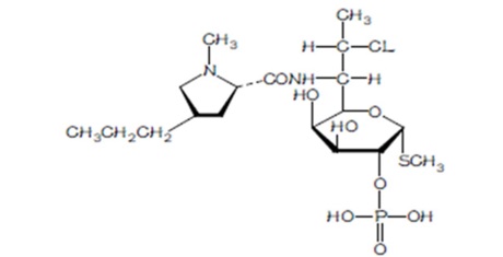 clindamycin-structure.jpg