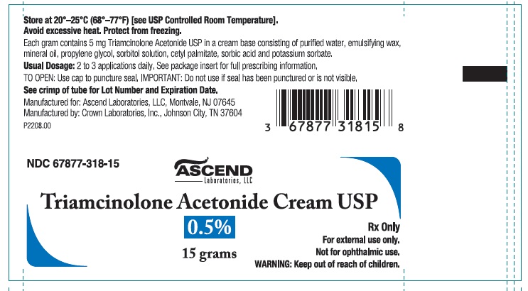 Triamcinolone Acetonide Cream USP 0.5% 15 gm tube