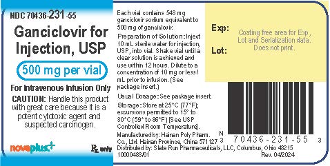 500 mg vial