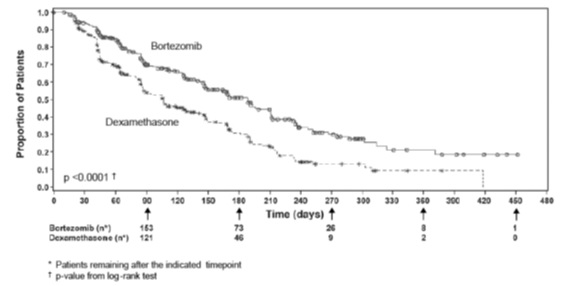 bortezomib-spl-figure-3.jpg