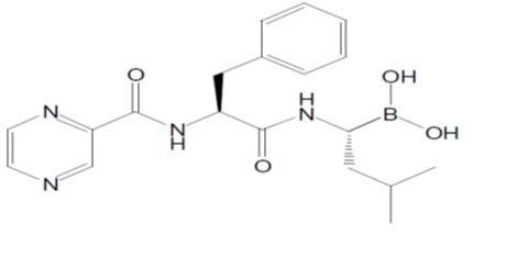 bortezomib-spl-structure.jpg