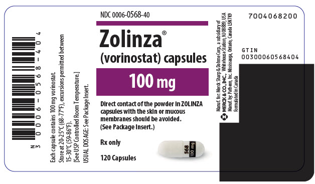 PRINCIPAL DISPLAY PANEL - 100 mg Capsule Bottle Label