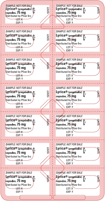 PRINCIPAL DISPLAY PANEL - 75 mg Capsule Blister Pack