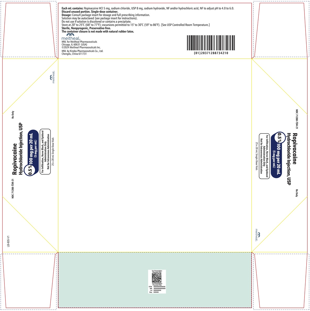 PRINCIPAL DISPLAY PANEL – Ropivacaine Hydrochloride Injection, USP 100 mg per 20 mL Carton