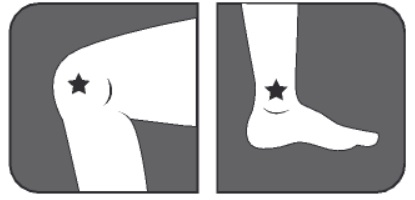 leaflet image 21