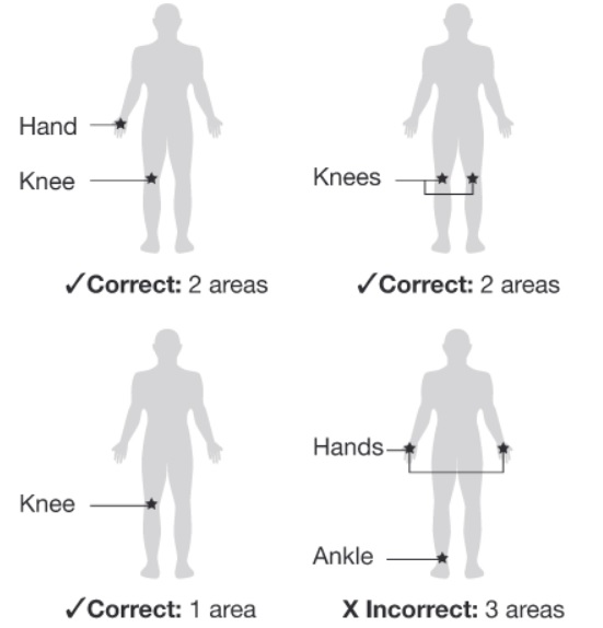 leaflet image 7