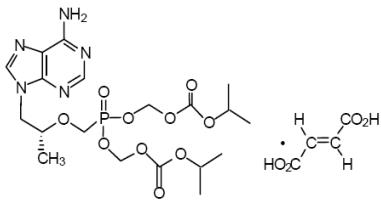 tdf-structure