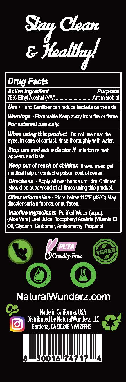 01b LBL_12oz Hand Sanitizer Fragrance Free Drug Facts_back