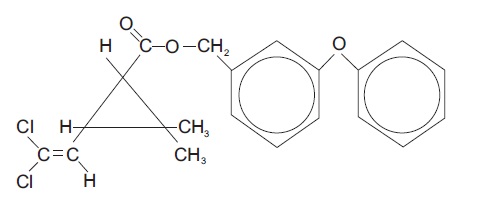 structure.jpg