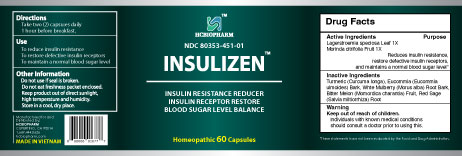 insulizen