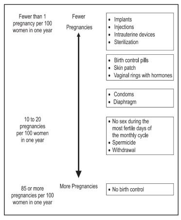 Pregnancy Chart