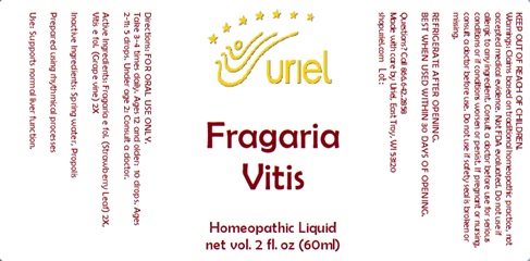 Fragaria Vitis Liquid