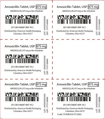 875 mg Amoxicillin Tablet Blister