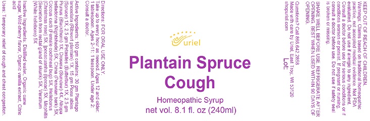 Plantain Spruce Cough 240ml