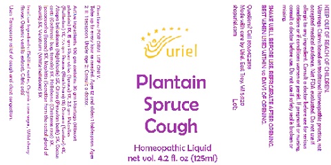 Plantain Spruce Cough 125ml