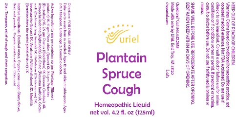 Plantain Spruce Cough