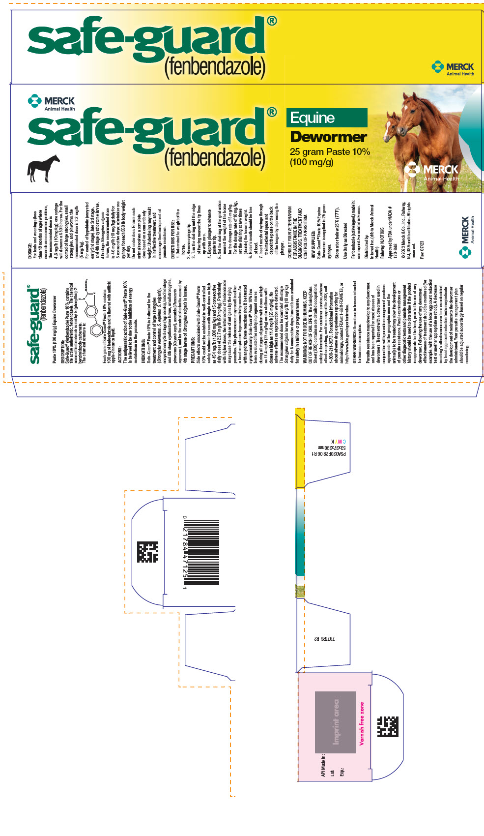 PRINCIPAL DISPLAY PANEL - 25 gram Syringe Carton