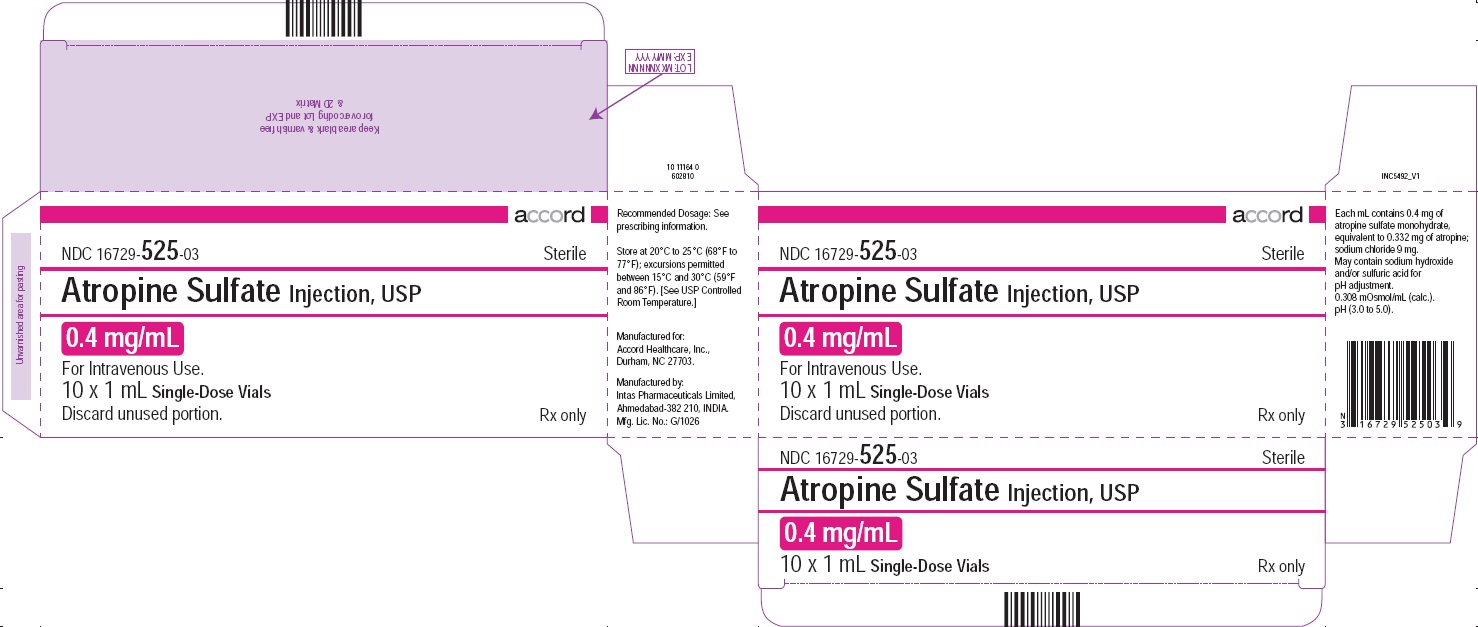 PRINCIPAL DISPLAY PANEL - Atropine Sulfate Injection, USP 0.4 mg/mL 10 Vials Carton