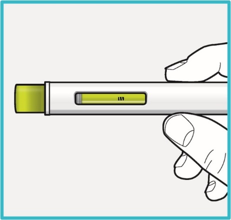 pen-step-8-viewing-window