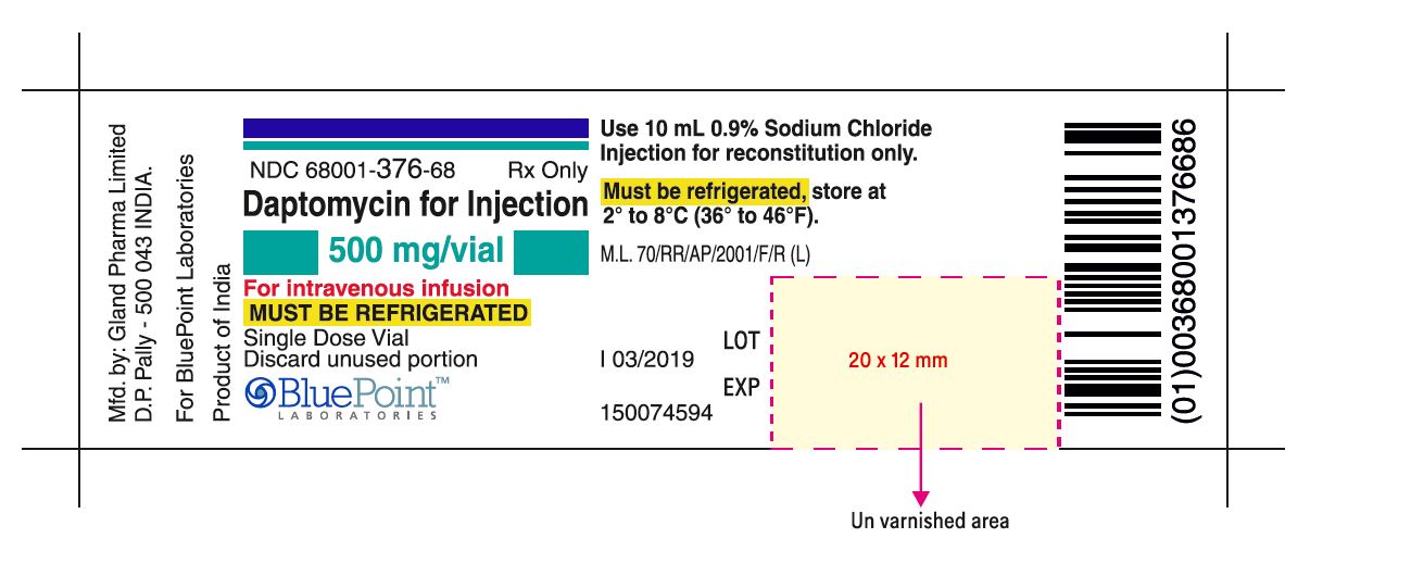 Daptomycin For Injection 500mg-Vial Label rev 03 2019.JPG