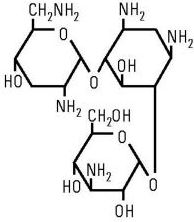 molecule