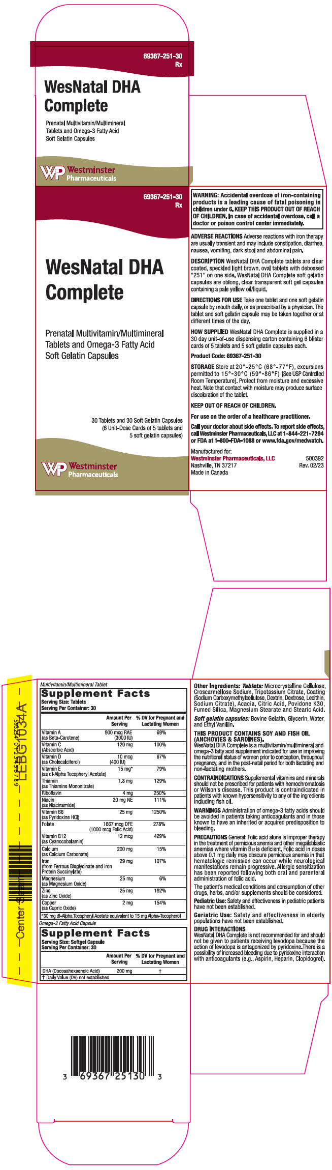 Principal Display Panel - Kit Carton