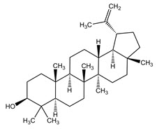 Chemical Structure - Lupeol