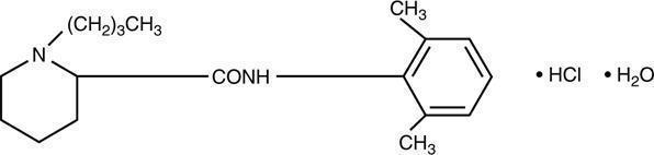 marcaine figure 1