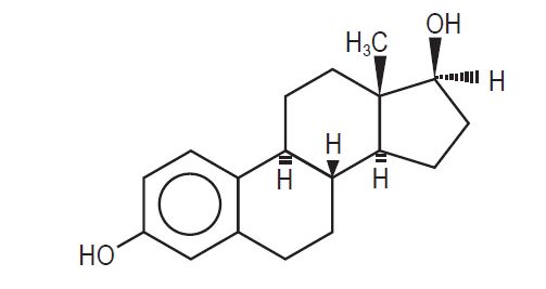 Estradiol Transdermal System