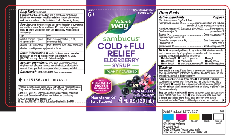 LH15136_C01_Sambucus_ColdFlu_4oz_LBL_FNL