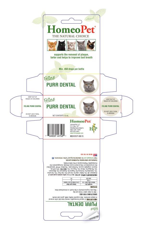 Feline Purr Dental box