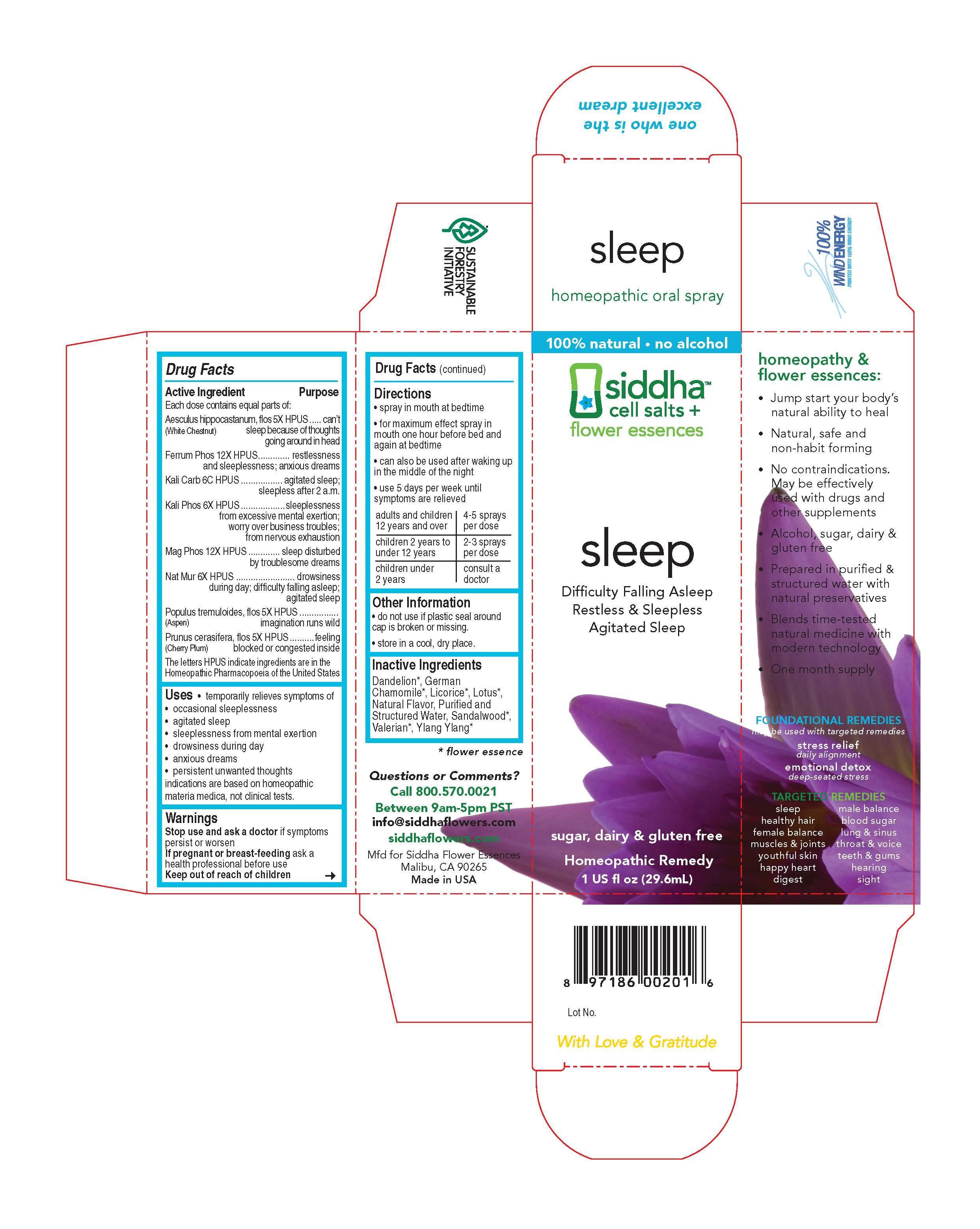 Sleep Carton