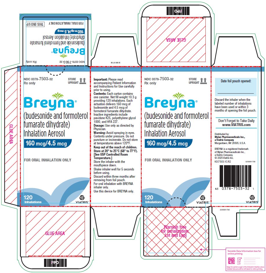 Breyna Inhalation Aerosol 160 mcg/4.5 mcg Carton