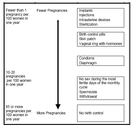 pregnancy chart