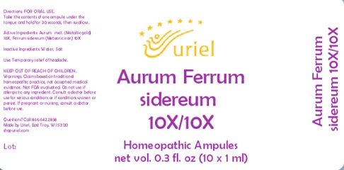 Aurum Ferrum Sidereum 10 10 Ampules