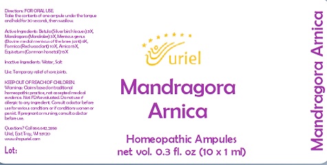 Mandragora Arnica Ampules