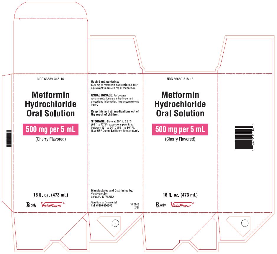 Metformin Hydrochloride Oral Solution, 500 mg/5 mL