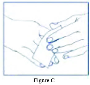 Figure C