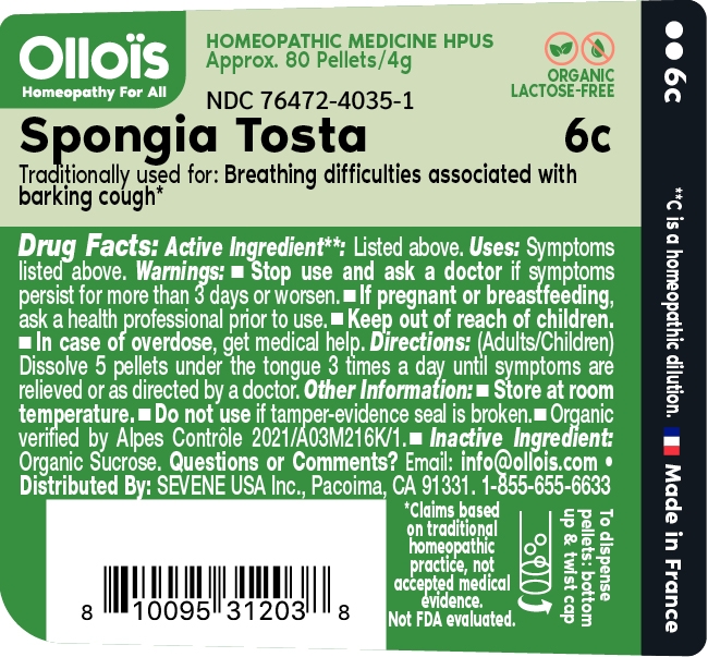 SPONGIA TOSTA 6C spongia officinalis skeleton, roasted pellet