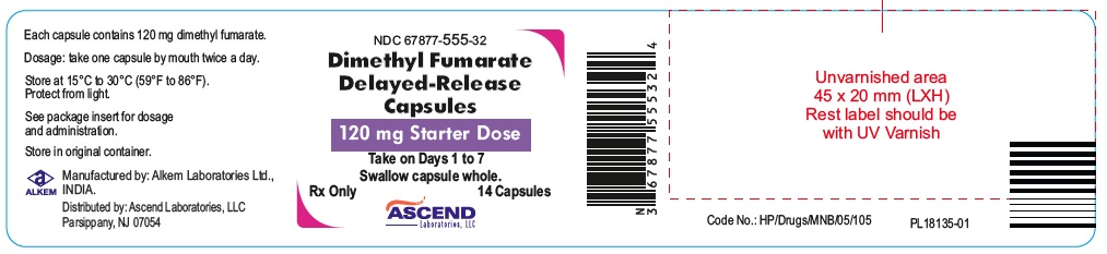 dmf-240mg-14cap-starter-pk