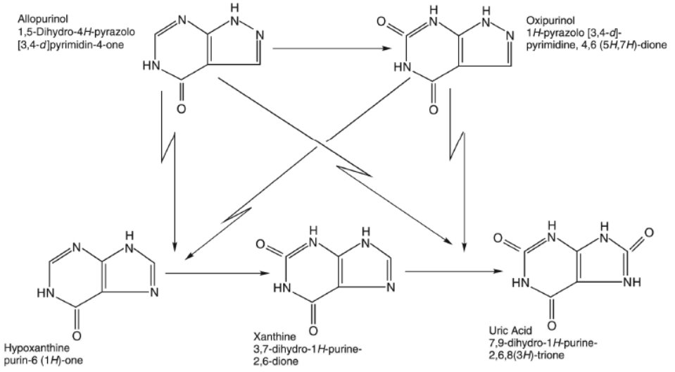 Allopurinol Structural Analogue