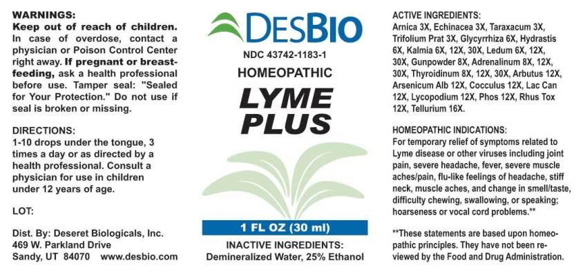 Lyme Plus