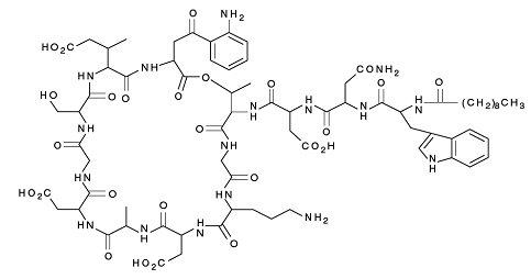 structural formula daptomycin