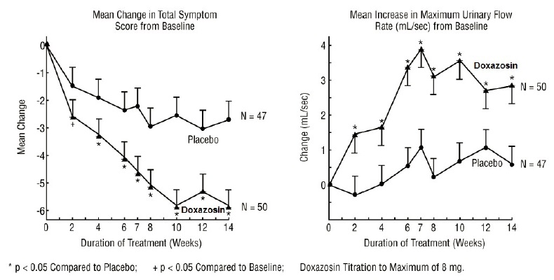 figure1.jpg