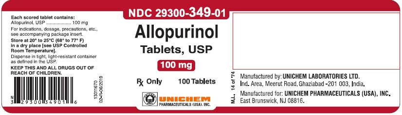 100 mg - 100s