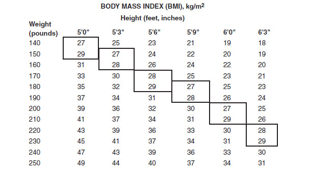 Image of the Body Mass Index Chart