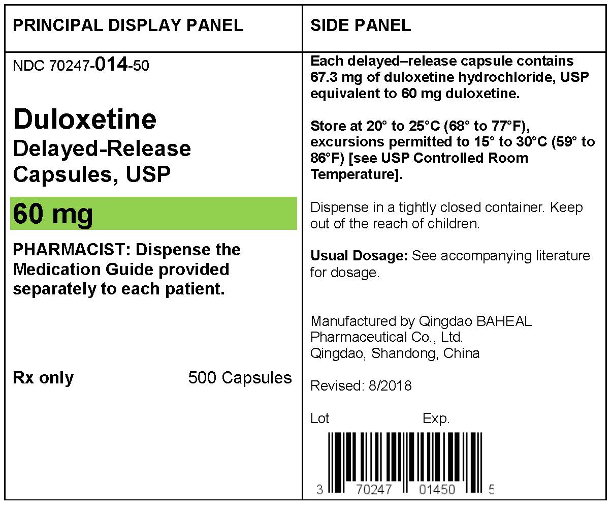 PACKAGE LABEL- Duloxetine Delayed-Realease Capsules 60 mg, bottle of 500