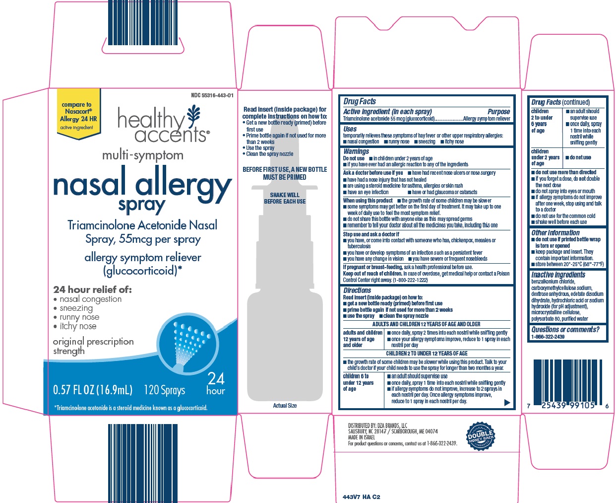 nasal allergy image
