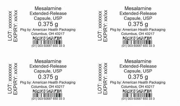 0.375 g Mesalamine Extended-Release Capsule Blister